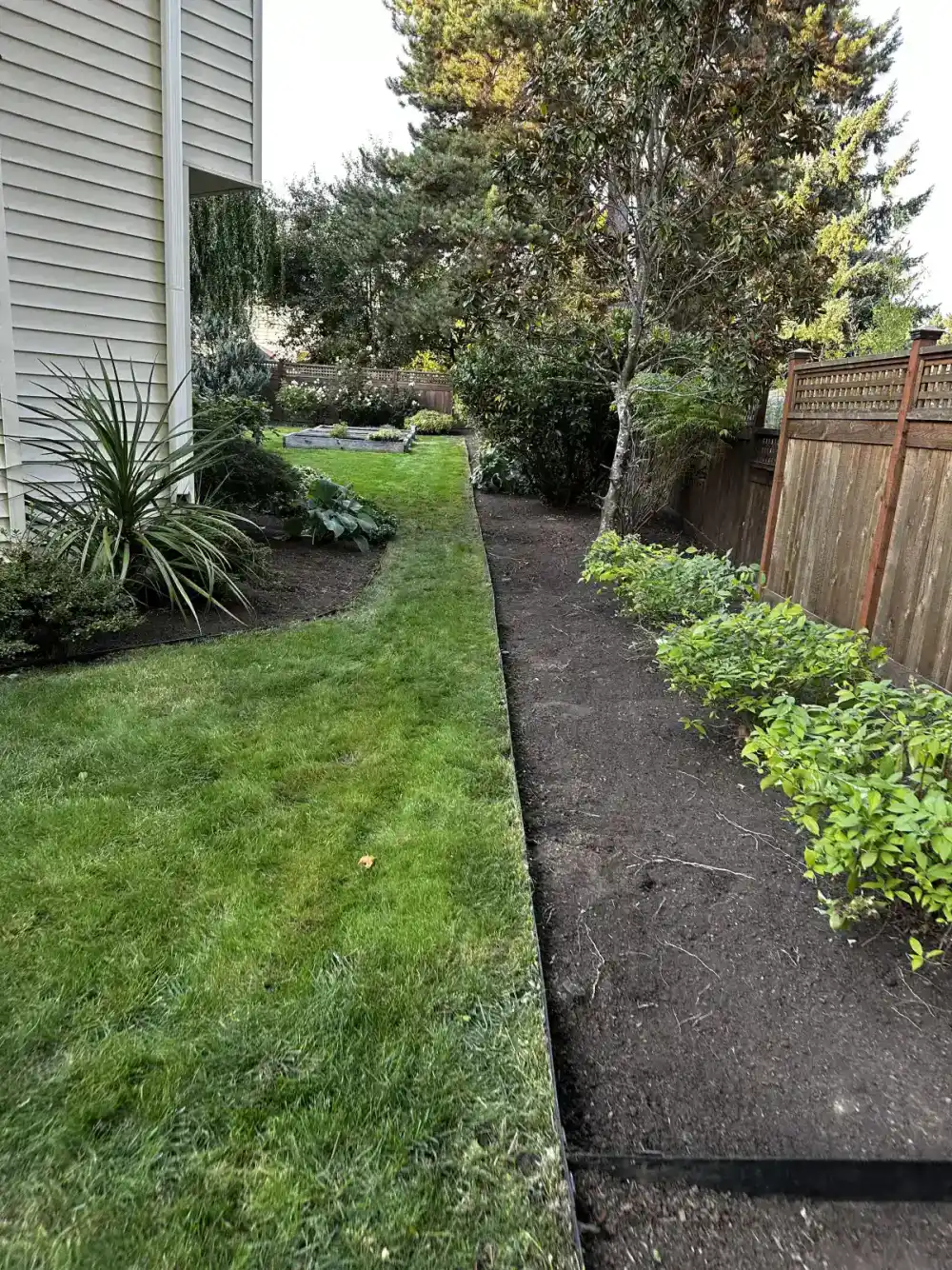 Yard clean up and debris removal by CreekView Landscape