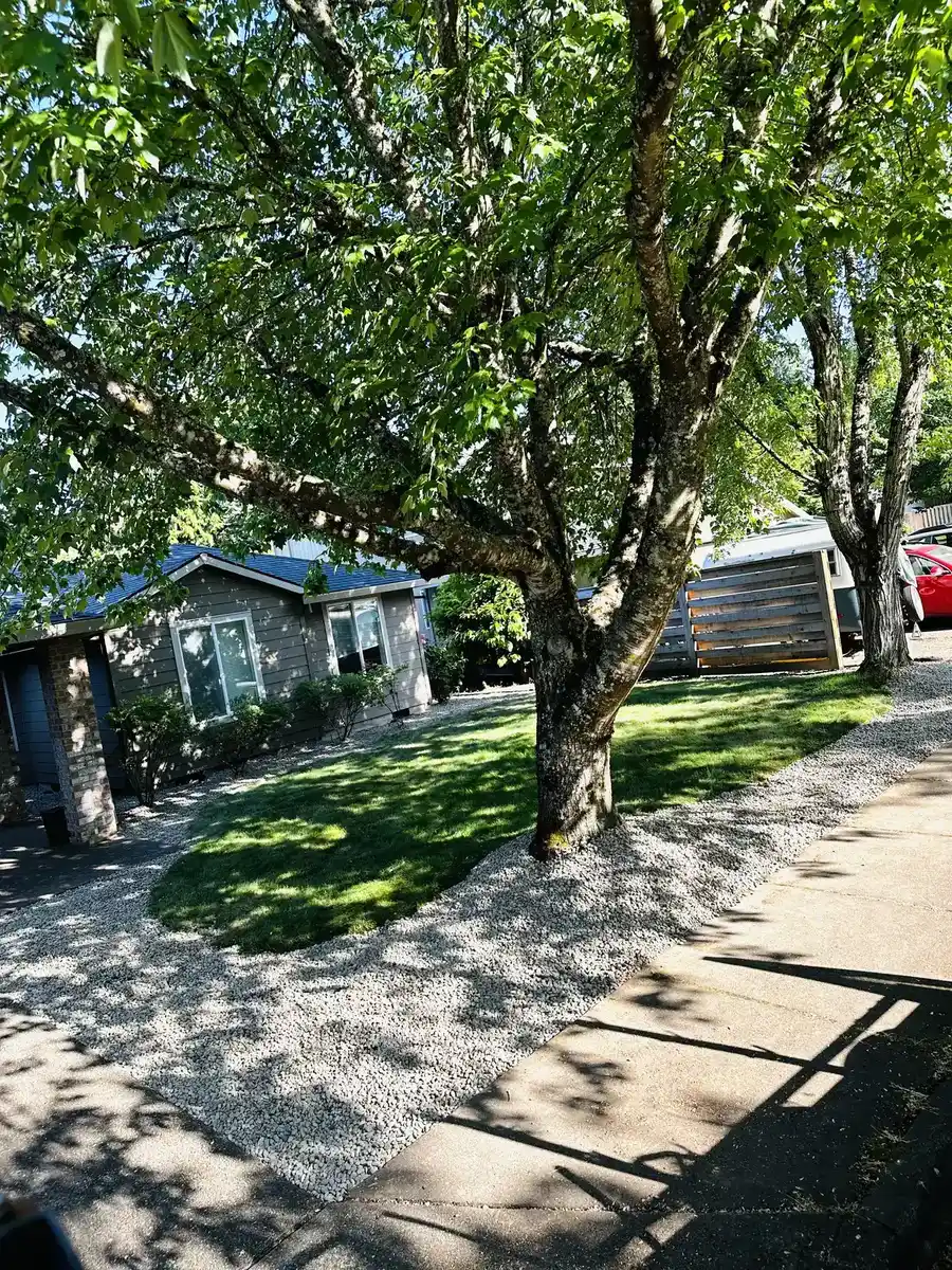 Fresh Wilsonville-area landscaping with new planting beds and clean lawn edges by CreekView Landscape