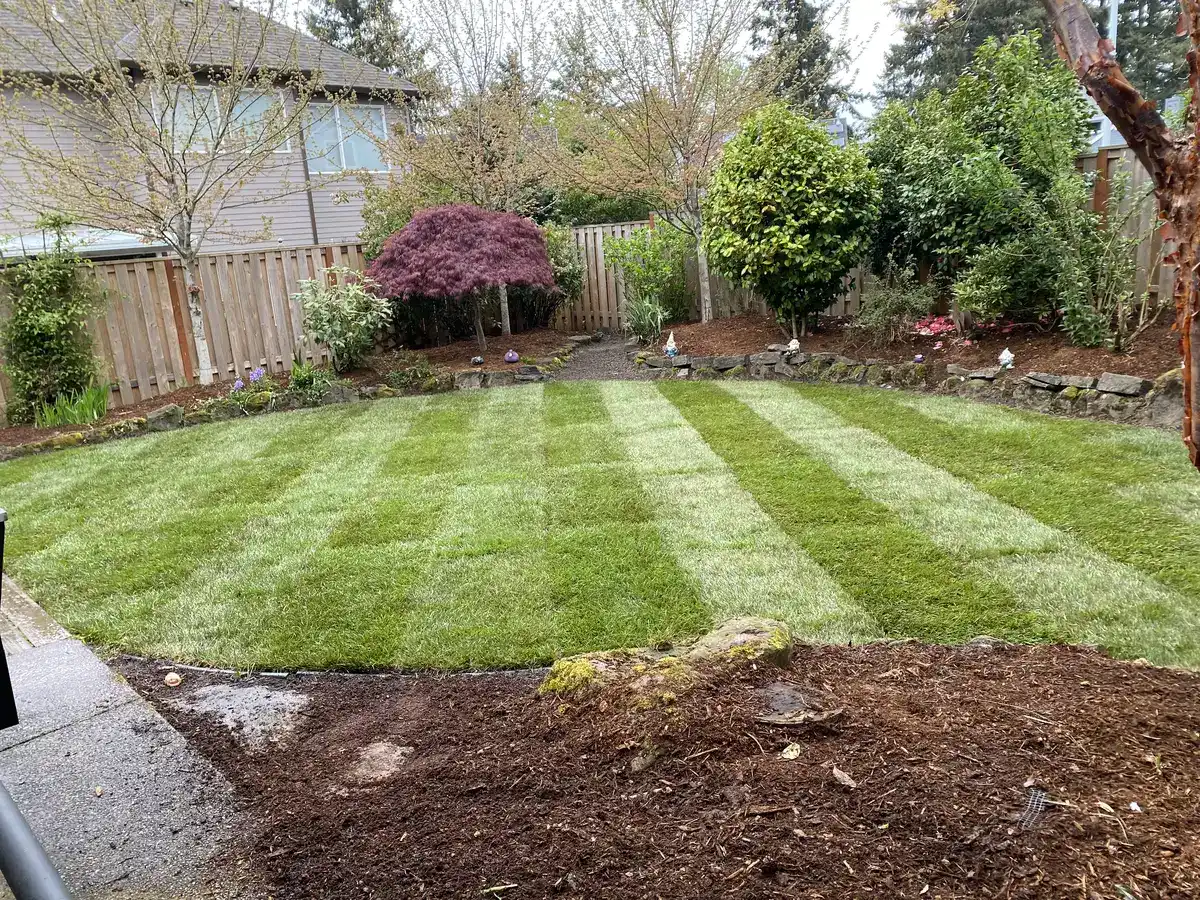 After photo of striped sod lawn with garden beds by CreekView Landscape in Oregon